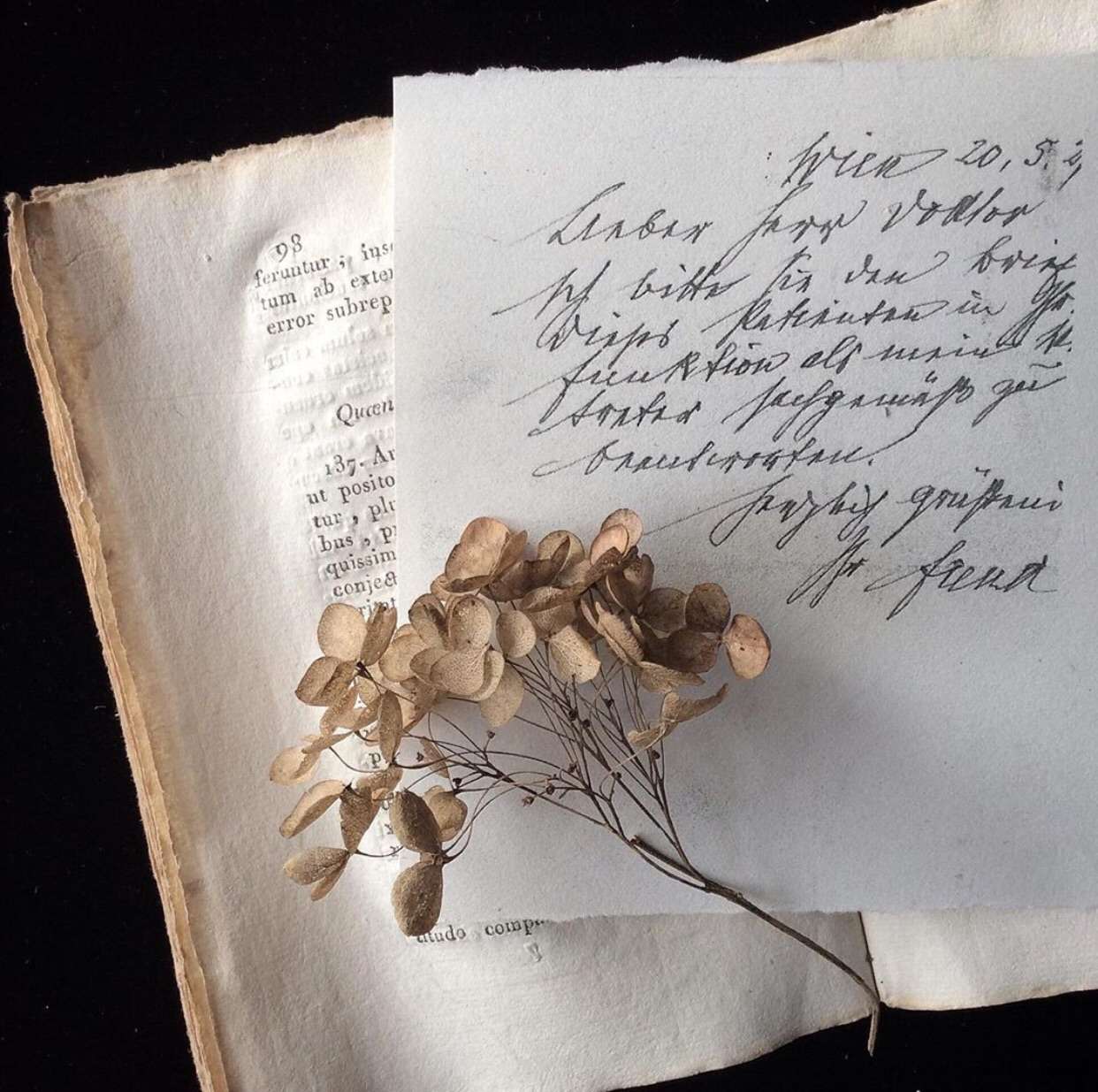 Encouragement For The Aspiring Poet Full Cycle Publications